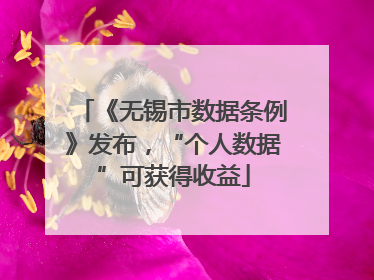《无锡市数据条例》发布，“个人数据”可获得收益