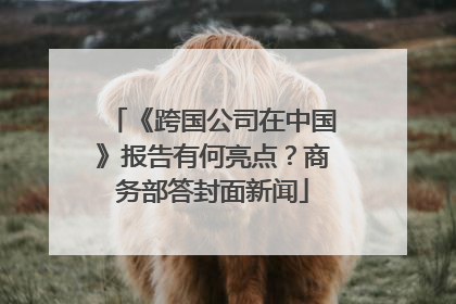 《跨国公司在中国》报告有何亮点？商务部答封面新闻