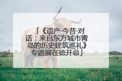 《遗产·今昔·对话：来自东方城市青岛的历史建筑巡礼》专题展在德开幕