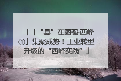 「“县”在图强·西峰①」集聚成势！工业转型升级的“西峰实践”