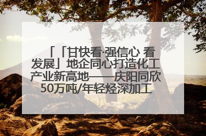「甘快看·强信心 看发展」地企同心打造化工产业新高地——庆阳同欣50万吨/年轻烃深加工项目建设见闻