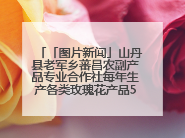 「图片新闻」山丹县老军乡蕃昌农副产品专业合作社每年生产各类玫瑰花产品500多吨