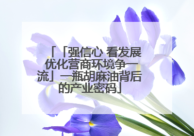 「强信心 看发展 优化营商环境争一流」一瓶胡麻油背后的产业密码