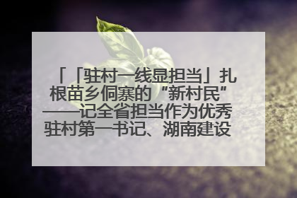 「驻村一线显担当」扎根苗乡侗寨的“新村民”——记全省担当作为优秀驻村第一书记、湖南建设投资集团李磊