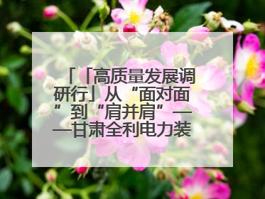 「高质量发展调研行」从“面对面”到“肩并肩”——甘肃全利电力装备生产制造项目一线见闻