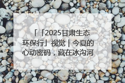 「2025甘肃生态环保行」视觉｜今夏的心动密码，藏在冰沟河的潋滟波光里