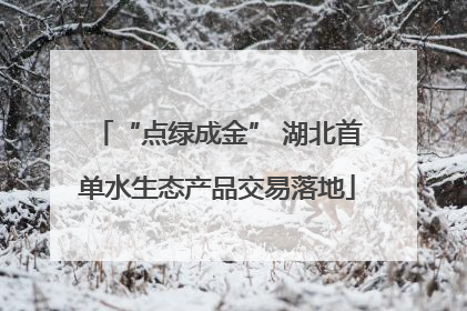 “点绿成金” 湖北首单水生态产品交易落地