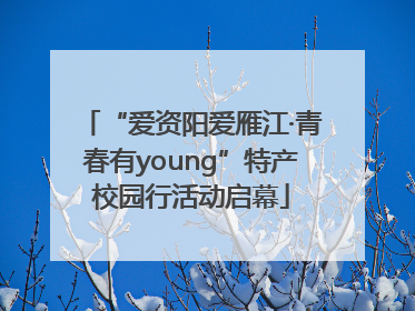 “爱资阳爱雁江·青春有young”特产校园行活动启幕