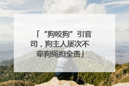“狗咬狗”引官司，狗主人屡次不牵狗绳担全责