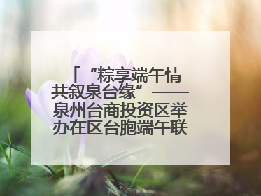 “粽享端午情 共叙泉台缘”——泉州台商投资区举办在区台胞端午联谊活动，共话同源深情