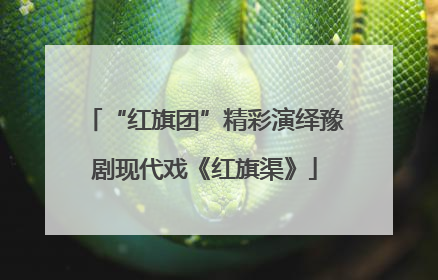“红旗团”精彩演绎豫剧现代戏《红旗渠》