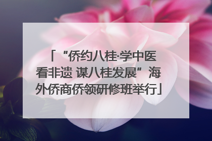 “侨约八桂·学中医 看非遗 谋八桂发展”海外侨商侨领研修班举行