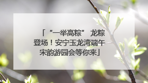 “一举高粽” 龙粽登场！安宁玉龙湾端午宋韵游园会等你来