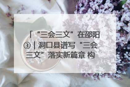 “三会三文”在邵阳③｜洞口县谱写“三会三文”落实新篇章 构建协同联动大格局