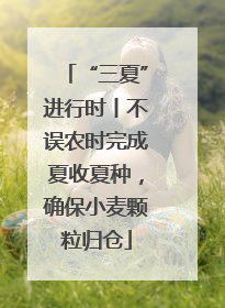 “三夏”进行时丨不误农时完成夏收夏种，确保小麦颗粒归仓