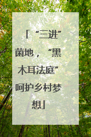 “三进”菌地，“黑木耳法庭”呵护乡村梦想