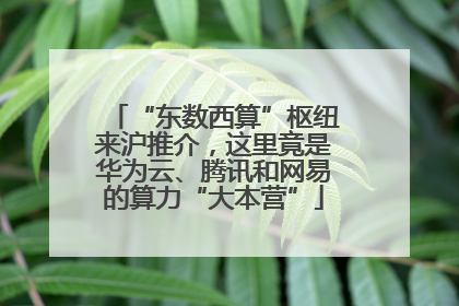 “东数西算”枢纽来沪推介，这里竟是华为云、腾讯和网易的算力“大本营”