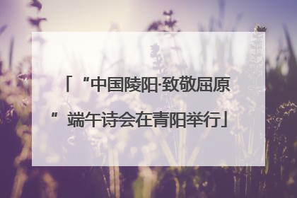 “中国陵阳·致敬屈原”端午诗会在青阳举行