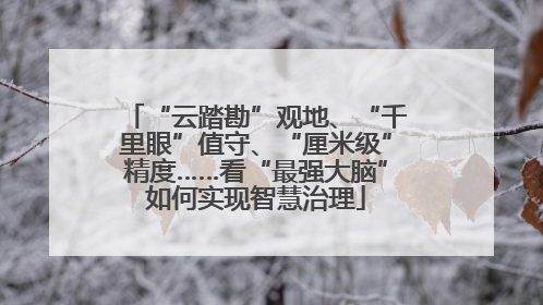 “云踏勘”观地、“千里眼”值守、“厘米级”精度……看“最强大脑”如何实现智慧治理