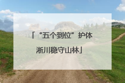 “五个到位”护体 淅川稳守山林