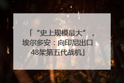 “史上规模最大”，埃尔多安：向印尼出口48架第五代战机