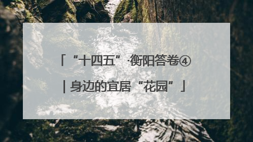 “十四五”·衡阳答卷④｜身边的宜居“花园”