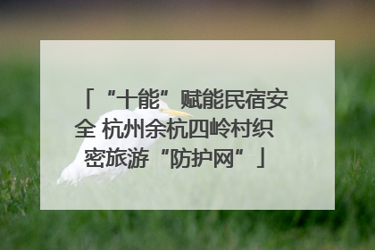 “十能”赋能民宿安全 杭州余杭四岭村织密旅游“防护网”