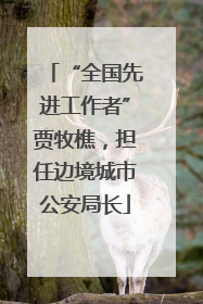 “全国先进工作者”贾牧樵，担任边境城市公安局长