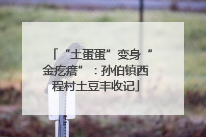 “土蛋蛋”变身“金疙瘩”：孙伯镇西程村土豆丰收记