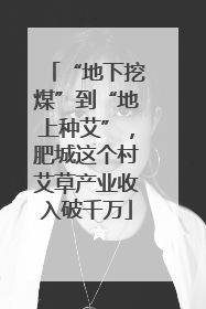 “地下挖煤”到“地上种艾”，肥城这个村艾草产业收入破千万
