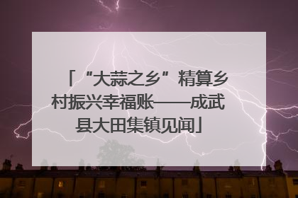 “大蒜之乡”精算乡村振兴幸福账——成武县大田集镇见闻