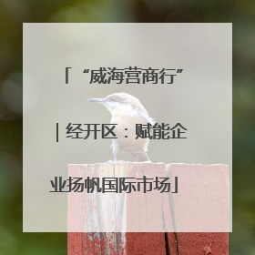 “威海营商行”｜经开区：赋能企业扬帆国际市场