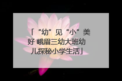 “幼”见“小”美好 峨眉三幼大班幼儿探秘小学生活
