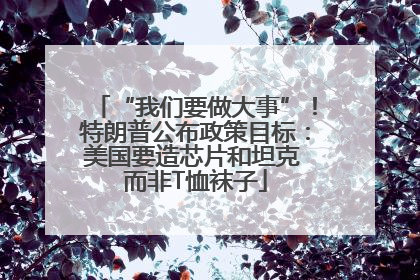 “我们要做大事”！特朗普公布政策目标：美国要造芯片和坦克 而非T恤袜子