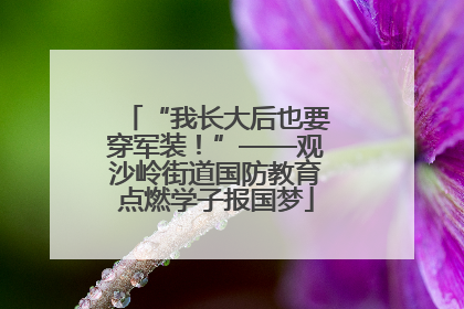 “我长大后也要穿军装！”——观沙岭街道国防教育点燃学子报国梦