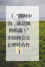 “拥抱中国，就是拥抱机遇！”多国商会会长呼吁合作