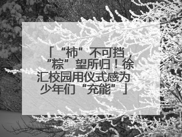 “柿”不可挡，“粽”望所归！徐汇校园用仪式感为少年们“充能”