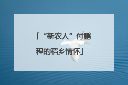 “新农人”付鹏程的稻乡情怀