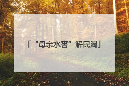 “母亲水窖”解民渴