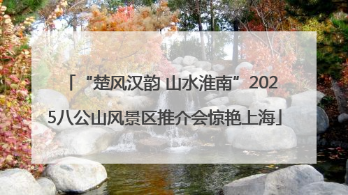 “楚风汉韵 山水淮南”2025八公山风景区推介会惊艳上海