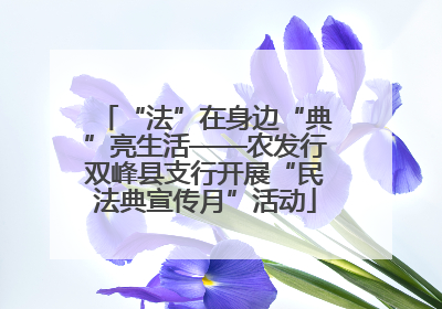 “法”在身边“典”亮生活——农发行双峰县支行开展“民法典宣传月”活动