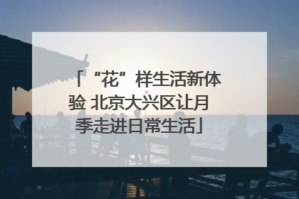 “花”样生活新体验 北京大兴区让月季走进日常生活