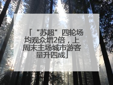 “苏超”四轮场均观众增2倍，上周末主场城市游客量升四成