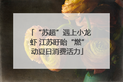 “苏超”遇上小龙虾 江苏盱眙“燃”动夏日消费活力