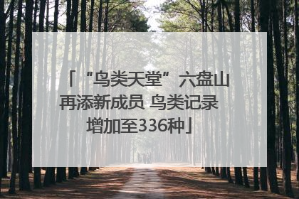 “鸟类天堂”六盘山再添新成员 鸟类记录增加至336种