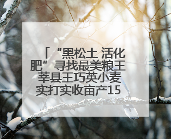 “黑松土 活化肥”寻找最美粮王 莘县王巧英小麦实打实收亩产1515.4斤 超对照田144斤！
