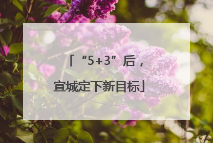 “5+3”后，宣城定下新目标