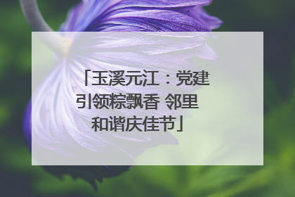玉溪元江：党建引领粽飘香 邻里和谐庆佳节