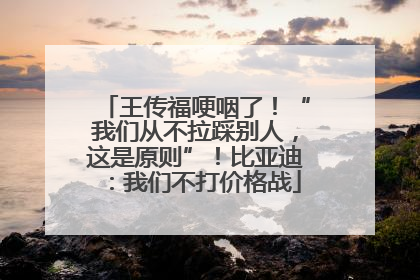 王传福哽咽了！“我们从不拉踩别人，这是原则”！比亚迪：我们不打价格战