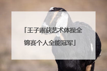 王子露获艺术体操全锦赛个人全能冠军